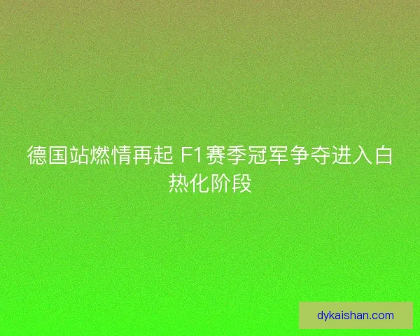 德国站燃情再起 F1赛季冠军争夺进入白热化阶段