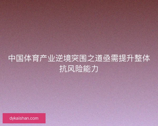 中国体育产业逆境突围之道亟需提升整体抗风险能力 中国体育产业逆境突围之道亟需提升整体抗风险能力